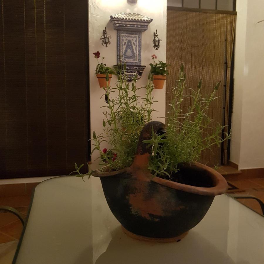 Casa Tres Aires Kwatera prywatna *